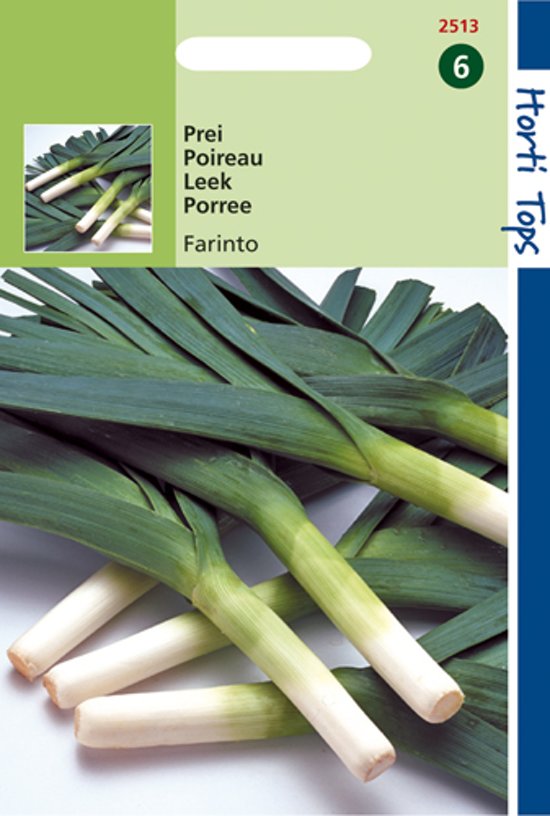 Porree (Winter) Farinto (Allium porrum) 300 Samen HT
